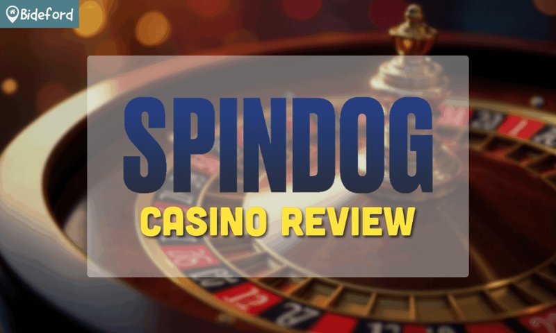 Spindog casino - Experience the Thrill of Spindog Casino in the UK with Ease Today